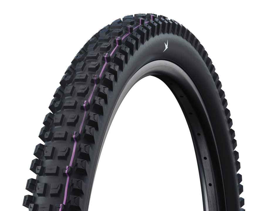 Schwalbe Albert Radial Trail Pro Addix Ultra Soft Tire