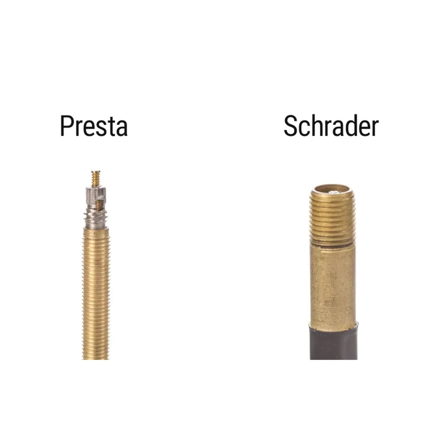 EVO Presta to Shrader Brass Valve Adapter