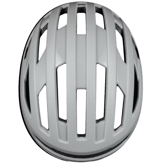 Sweet Protection Fluxer MIPS Helmet