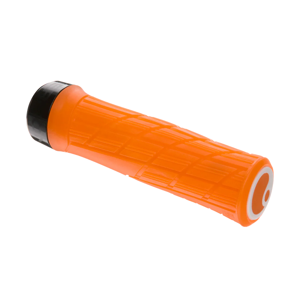 Ergon GE1 Evo Factory Grips