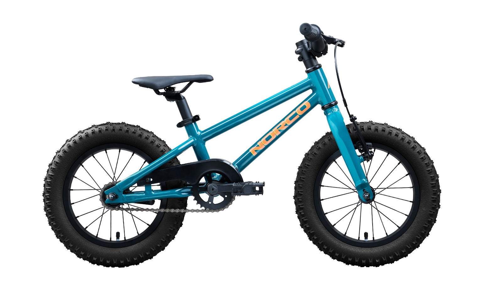 Norco Storm 14 Coaster