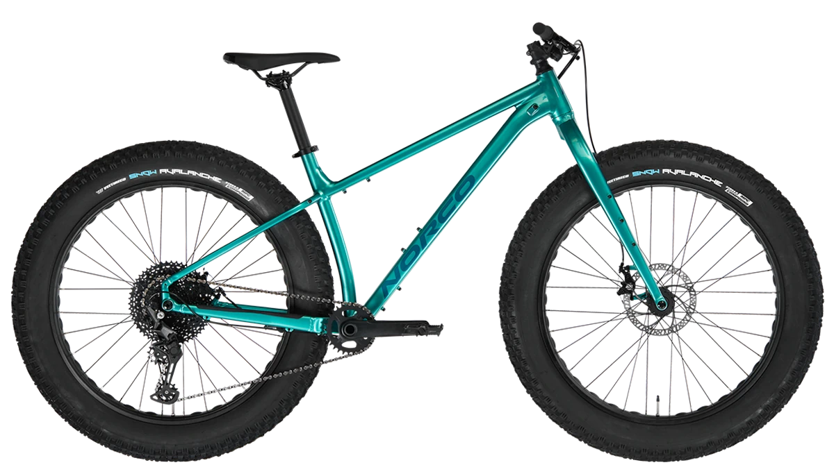 Norco Bigfoot 3