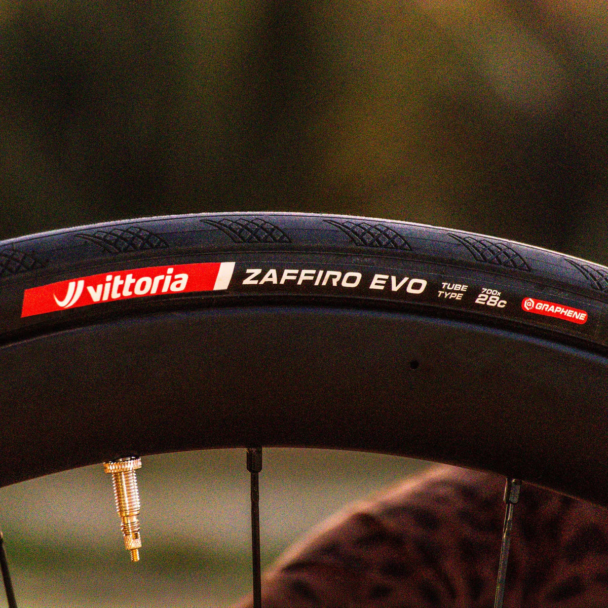 Vittoria Zaffiro EVO Tire