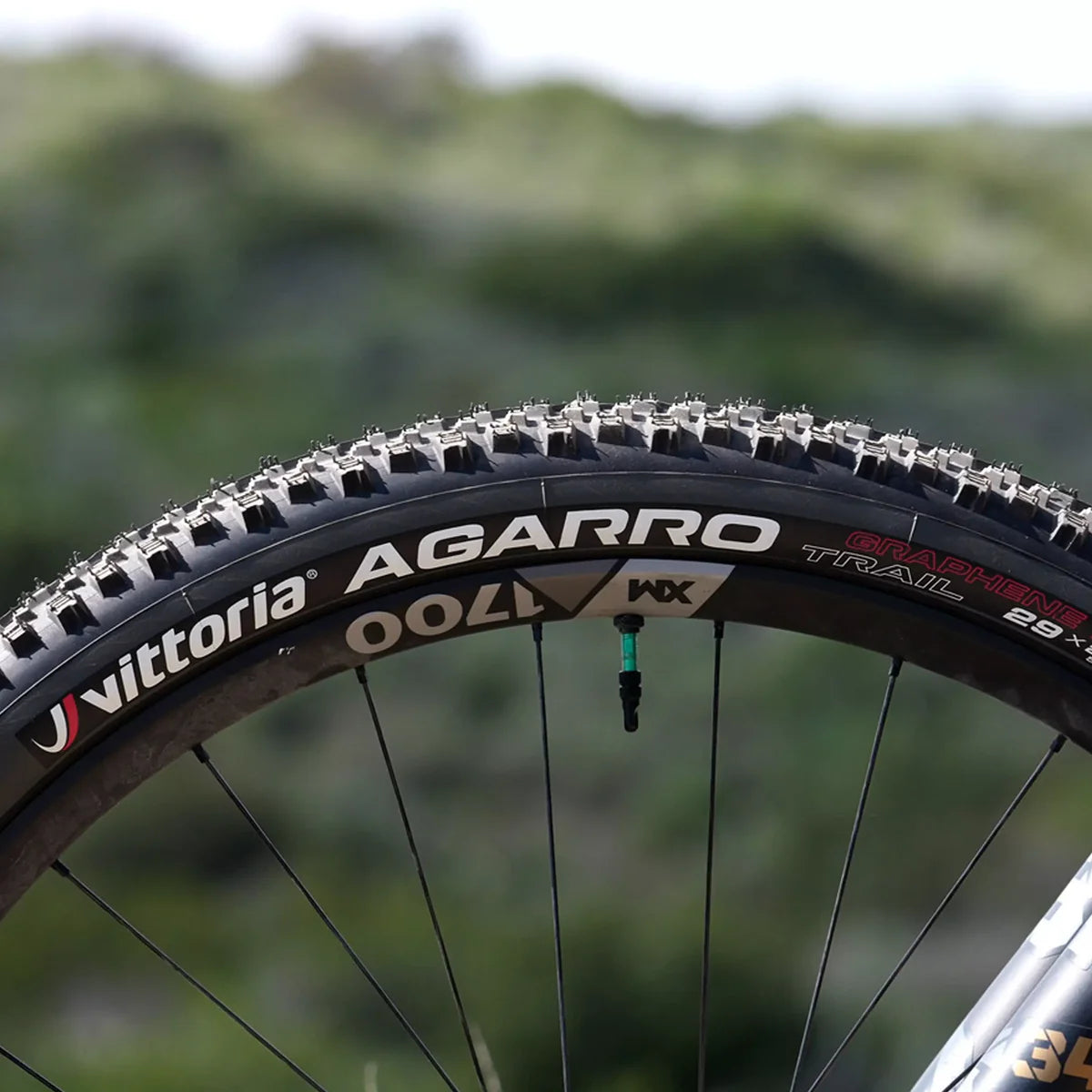 Vittoria Agarro Trail Tire