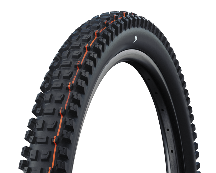 Schwalbe Albert Radial Trail Pro Addix Soft Tire