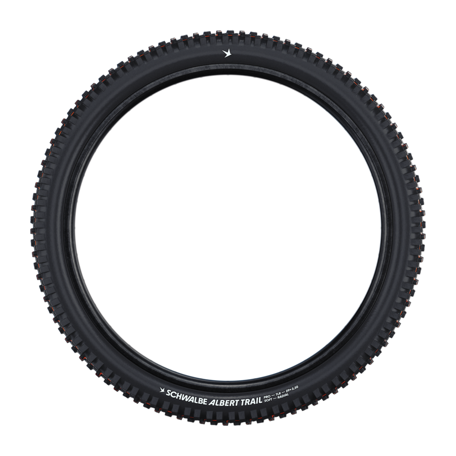 Schwalbe Albert Radial Trail Pro Addix Soft Tire