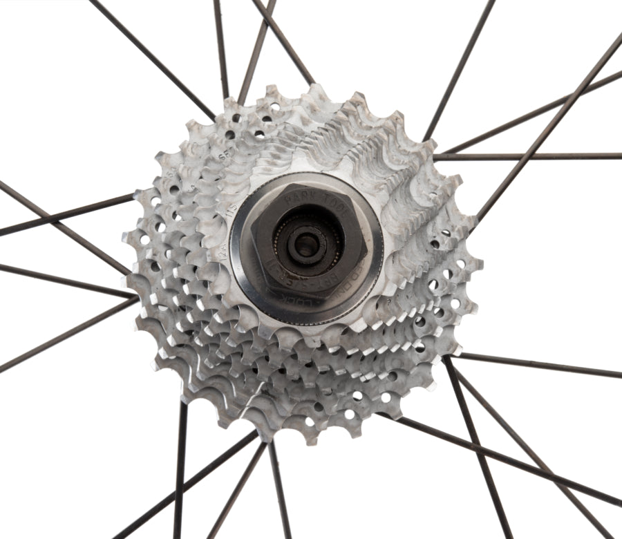 Park Tool BBT-5/FR11 Bottom Bracket / Cassette Lockring Tool - Campagnolo