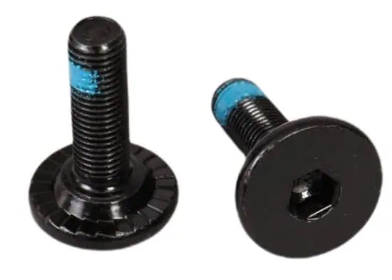 Salt BMX Crankarm Spindle Bolt Pair