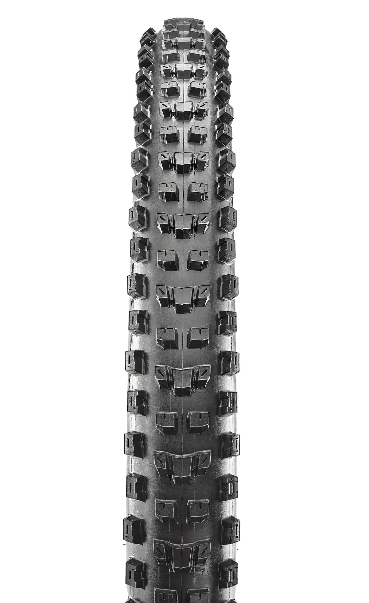 Maxxis Dissector Tubeless Ready Downhill Casing 3C MaxxGrip Tire